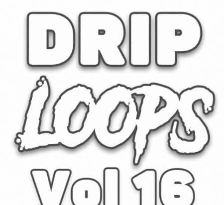 DiyMusicBiz Drip Loops Vol.16 WAV